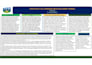 design professional flyer, poster, or brochures for business